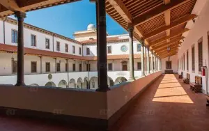 Pisa Üniversitesi