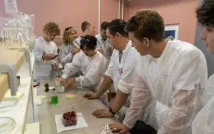 Güney Federal Üniversitesi