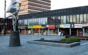 Parma Üniversitesi