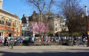 Studio Cambridge