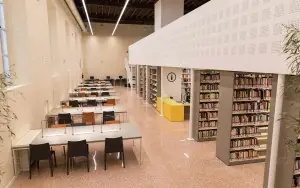 Pavia Üniversitesi