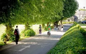 Cassino Üniversitesi