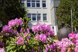 Varşova Kozminski Üniversitesi