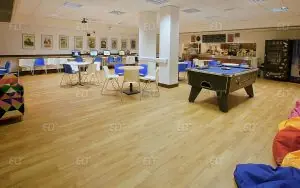 Delfin English School Dublin