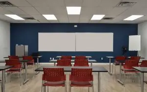 Toronto School of Management
