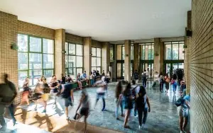 Bocconi Üniversitesi