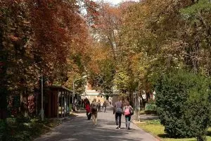 Budapeşte Teknoloji ve Ekonomi Üniversitesi