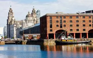 Lila Liverpool