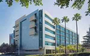 California State University