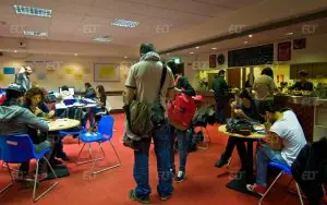 Delfin English School Dublin