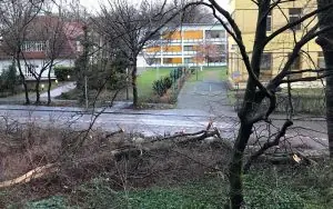 Duisburg-Essen Üniversitesi