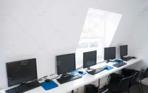 Delfin English School London