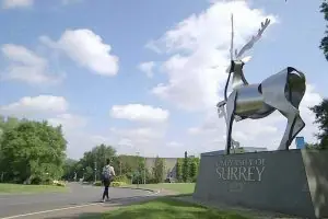 University of Surrey