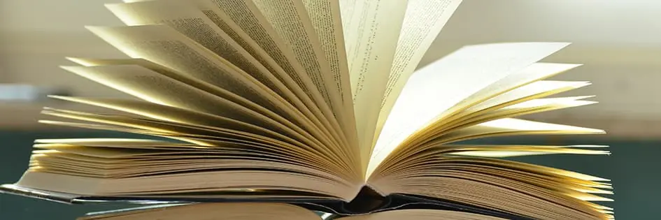Yurtdışında Hukuk, Sosyoloji, Filoloji Eğitimi