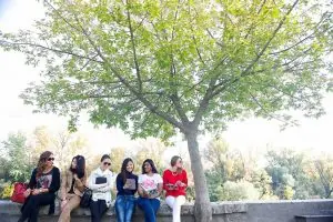 IBS International Business School