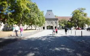 Mainz Johannes Gutenberg Üniversitesi