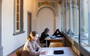 Bergamo Üniversitesi
