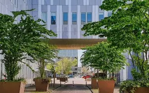 Vrije Universiteit Amsterdam