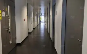 Giessen Üniversitesi