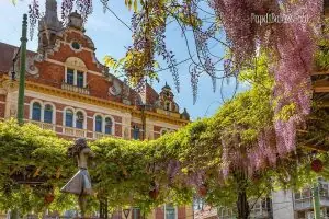 Szeged Üniversitesi
