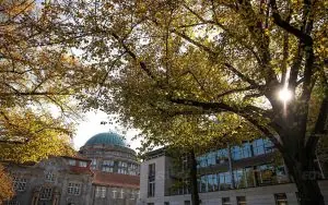 Hamburg Üniversitesi