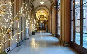 Bologna Üniversitesi