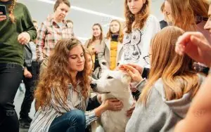 Rusya Ulusal Araştırma Üniversitesi (HSE)