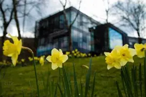 University of South Wales