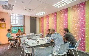 EC English Cape Town