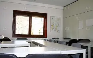 DID Frankfurt: Almanya’da Kaliteli Almanca Eğitimi
