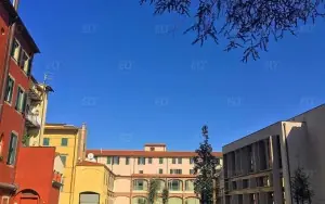 Pisa Üniversitesi