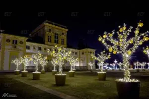 Varşova Ekonomi ve İnsan Bilimleri Üniversitesi