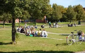 Bayreuth Üniversitesi