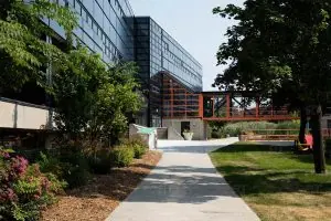 Sheridan College