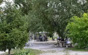Pisa Üniversitesi