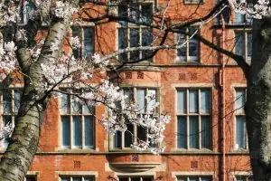 University of Sheffield