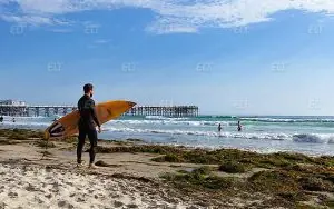 EC English San Diego Dil Okulu