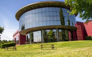Pavia Üniversitesi
