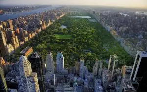 New York Language Center (NYLC) Dil Okulu