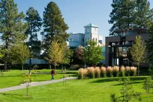 Thompson Rivers Üniversitesi