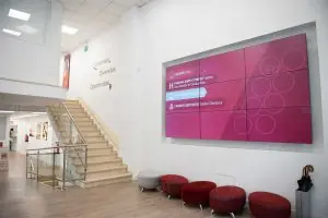 GBSB Global Business School