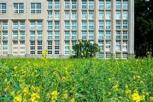 Varşova Ekonomi Üniversitesi