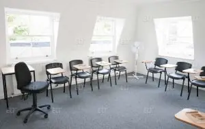 Delfin English School London
