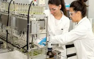 Genova Üniversitesi