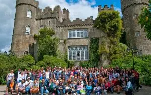 Delfin English School Dublin