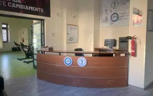 Messina Üniversitesi
