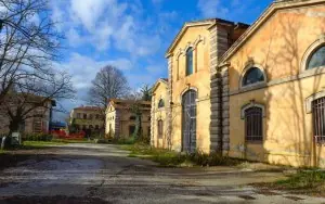 Pisa Üniversitesi