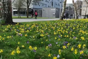 Brunel University London