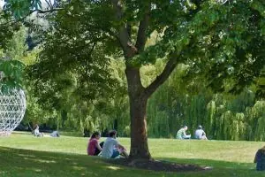 University of Surrey