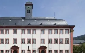 Heidelberg Üniversitesi